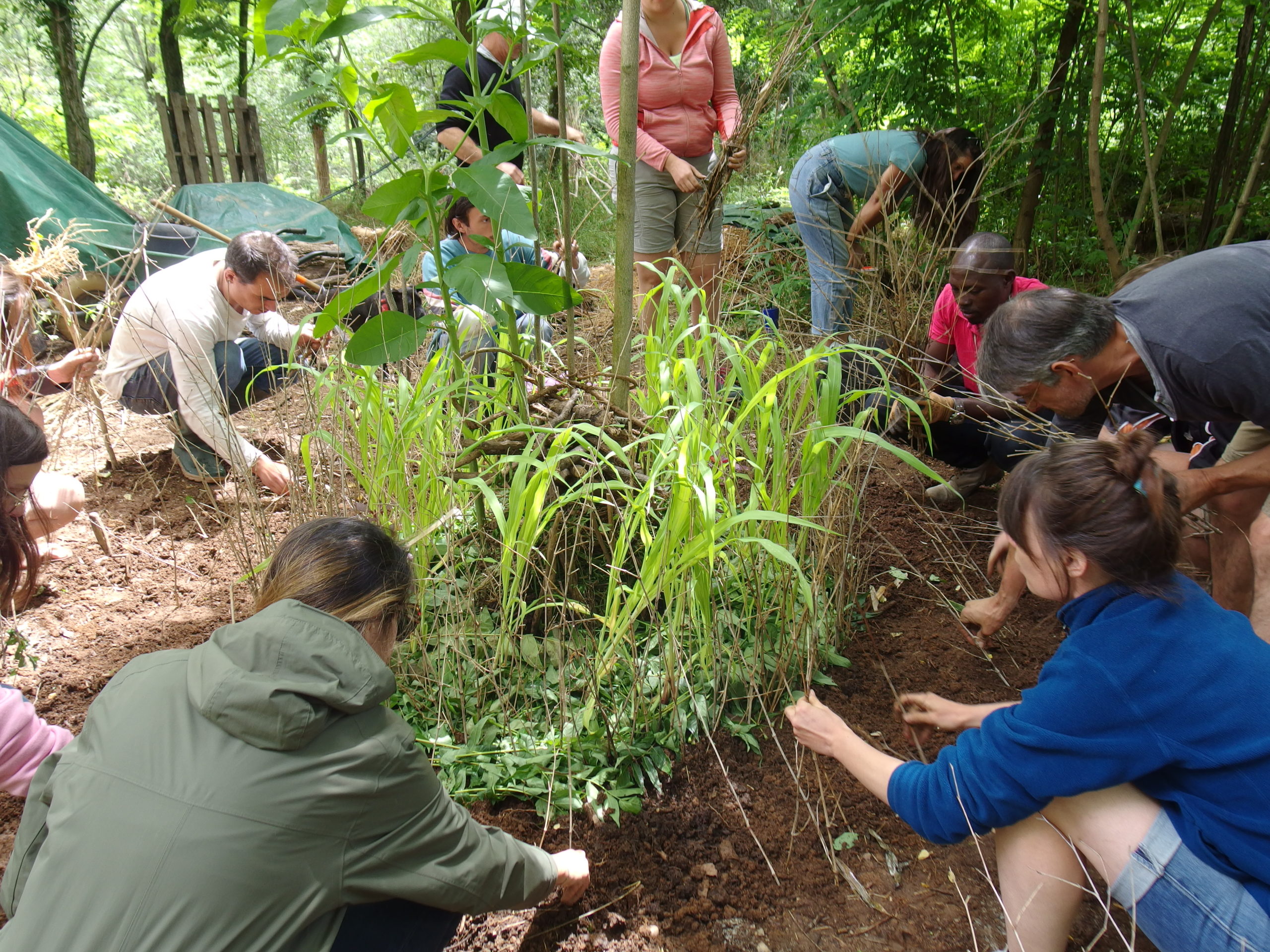 atelier permaculture toulouse