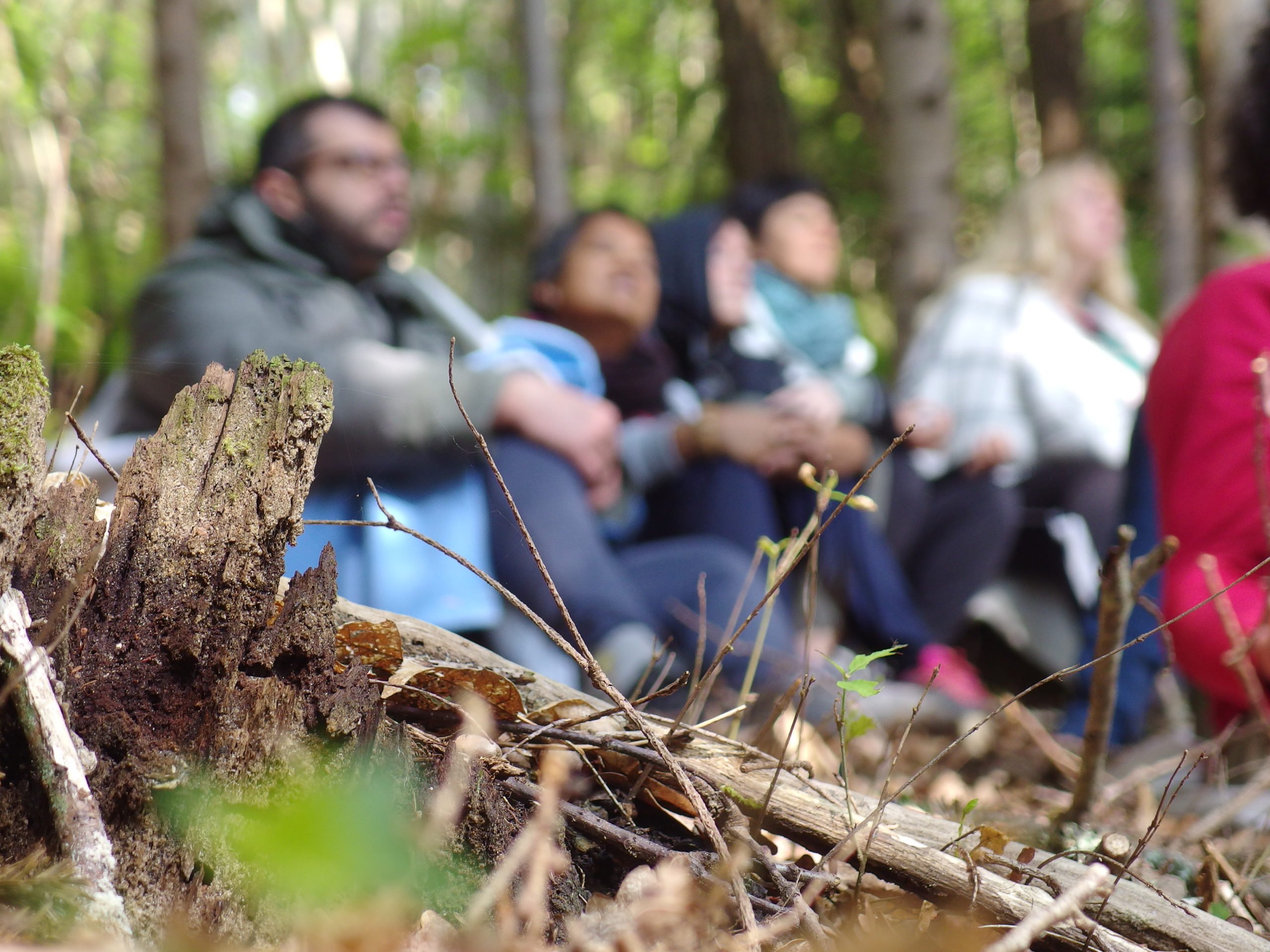 atelier permaculture toulouse